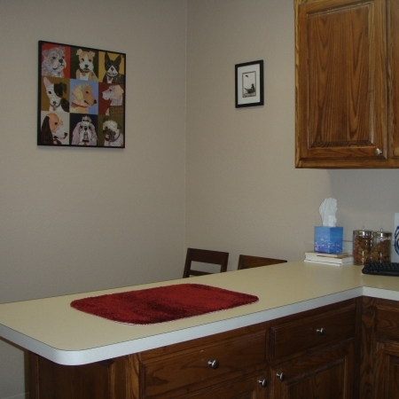 Nolan River Animal Hospital Tour