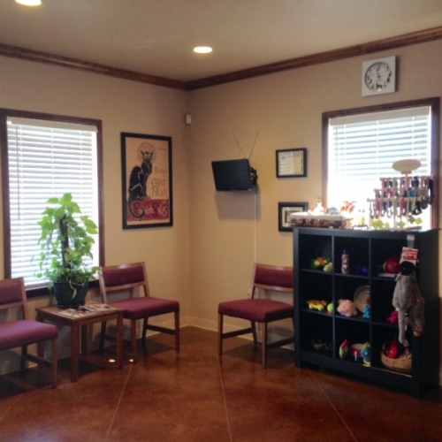 Nolan River Animal Hospital Tour
