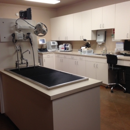 Nolan River Animal Hospital Tour