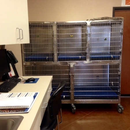 Nolan River Animal Hospital Tour